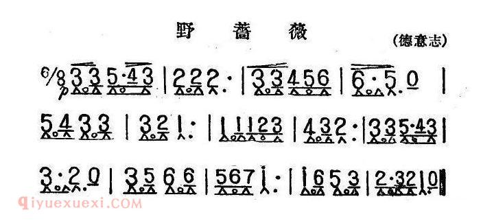 口琴乐谱【野蔷薇】简谱