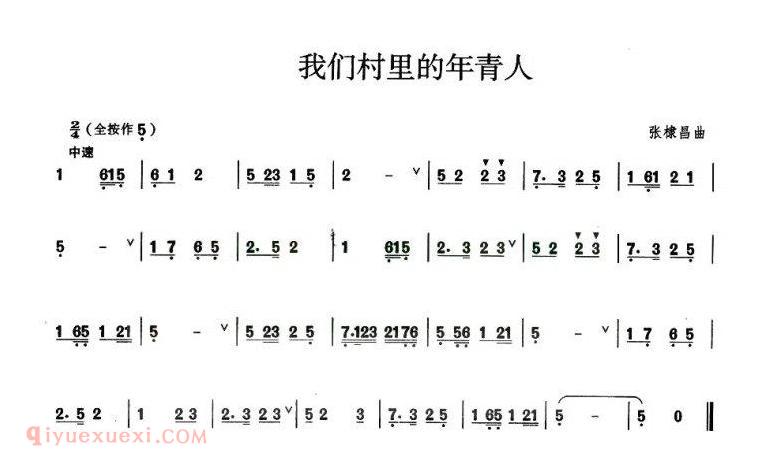 葫芦丝乐谱【我们村里的年轻人】简谱