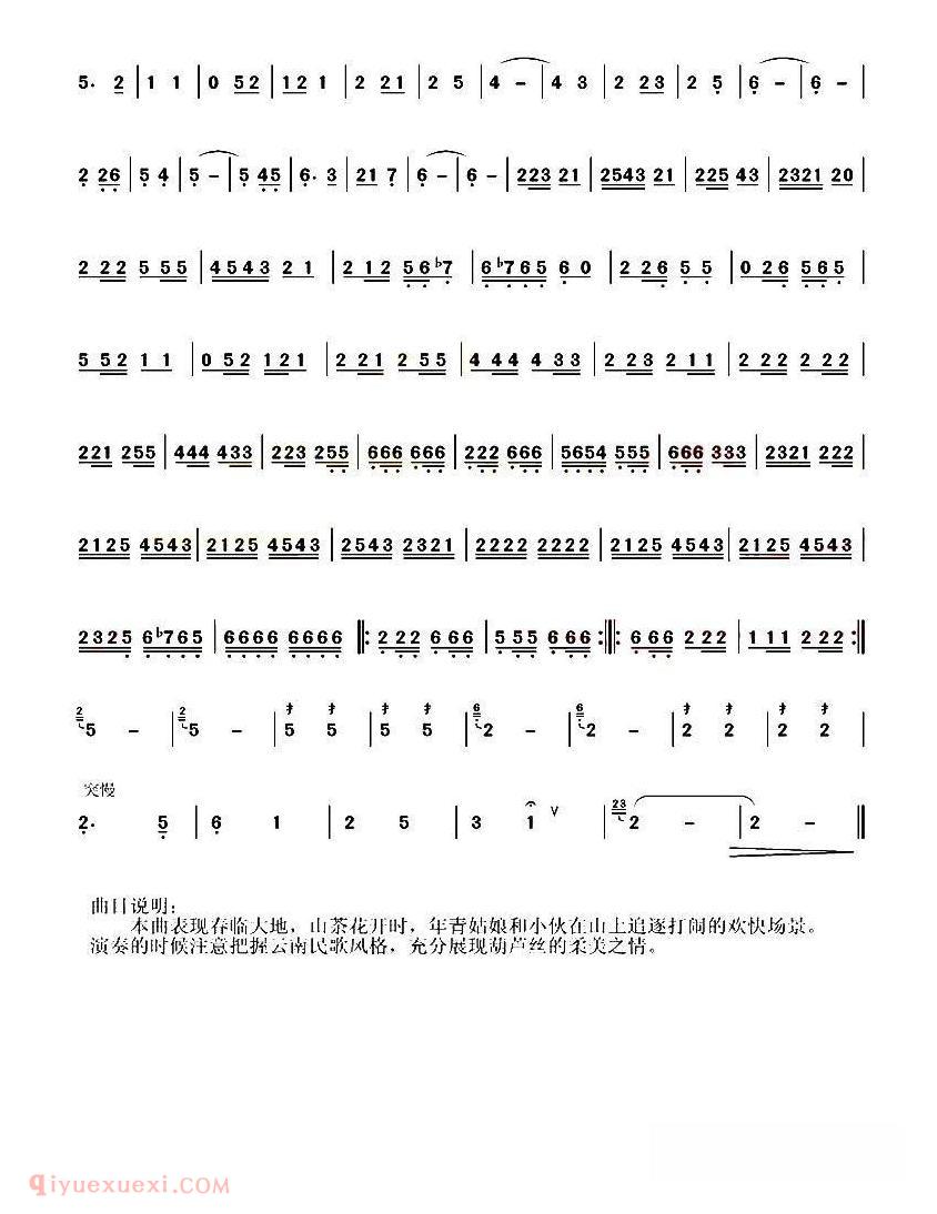 葫芦丝乐曲【山茶花开 苗晟作曲版】简谱