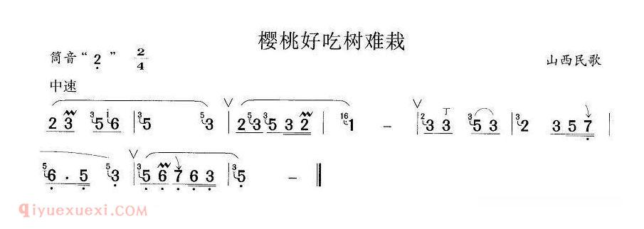 洞箫乐曲【樱桃好吃树难栽】简谱