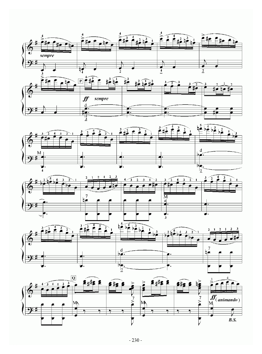 手风琴乐谱【E大调协奏曲 九级练习曲】五线谱