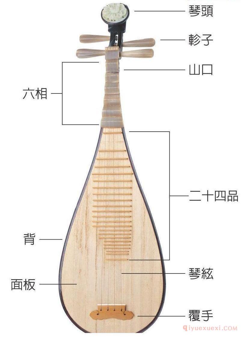 琵琶的构造简介