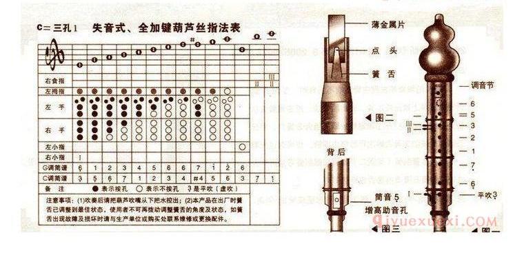 葫芦丝构造介绍