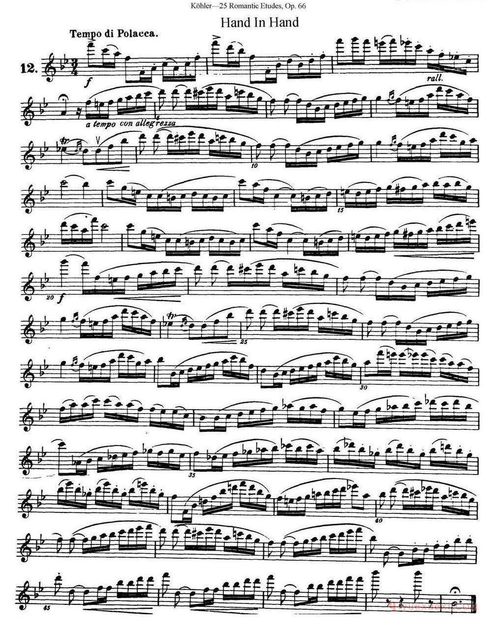 长笛谱网[25首浪漫练习曲作品66号]五线谱