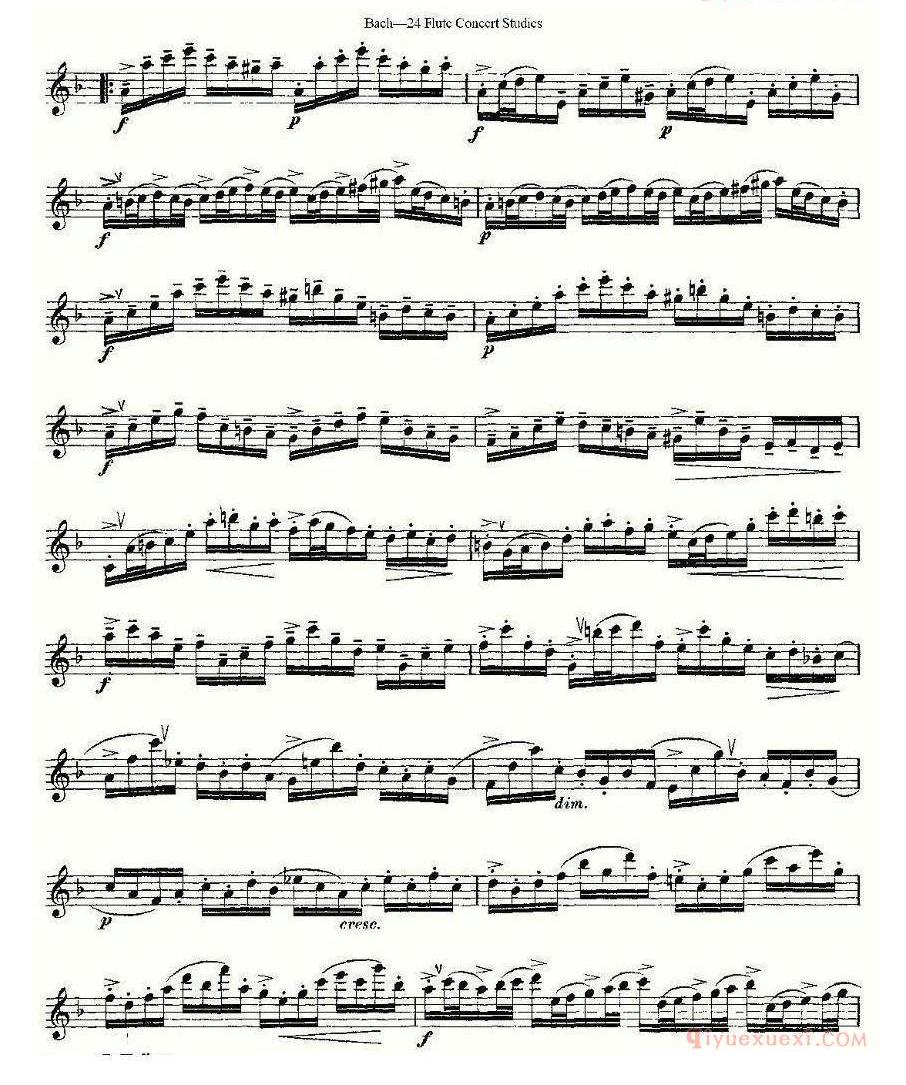 长笛谱网[Bach-24 Flutc Concert Studies/巴赫24首长笛音乐会练习曲]五线谱