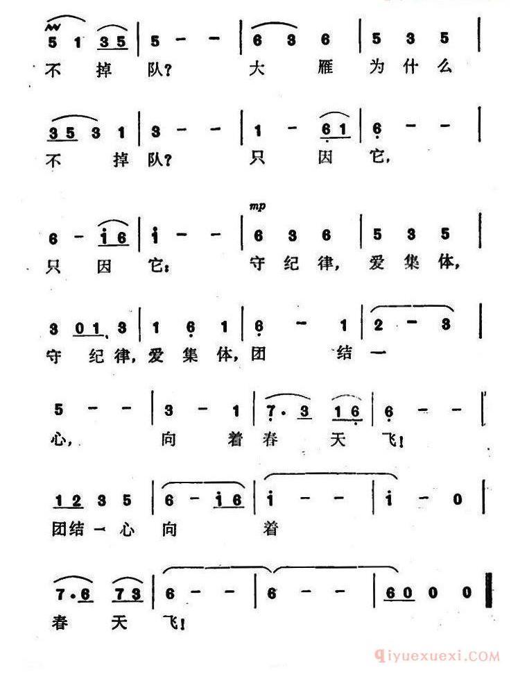 儿童歌曲简谱[大雁为什么不掉队]