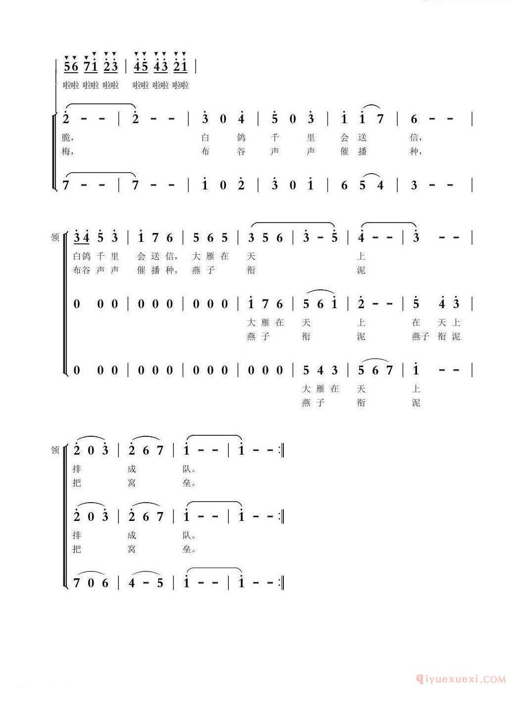 儿童歌曲简谱[什么鸟]李旺儒词 吴建清曲、童声合唱