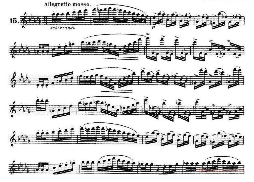 柯勒30首高级长笛练习曲作品75号(NO.1-NO.30)