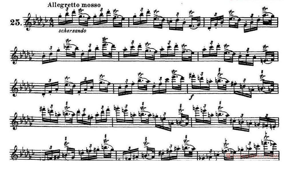 柯勒30首高级长笛练习曲作品75号(NO.1-NO.30)