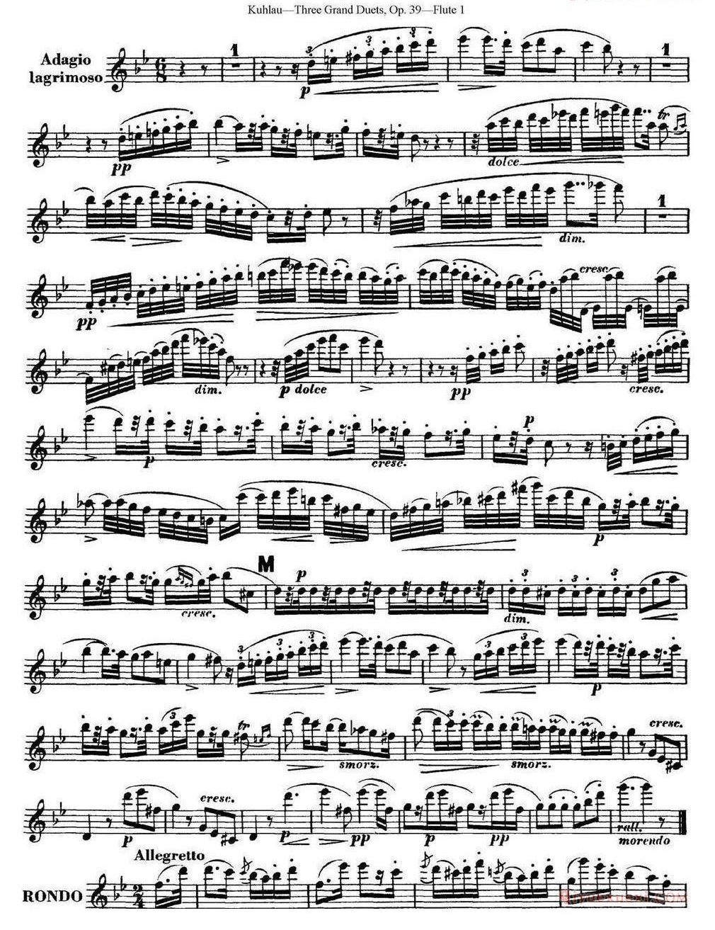 库劳长笛二重奏大练习曲Op.39——Flute 1(No.2)
