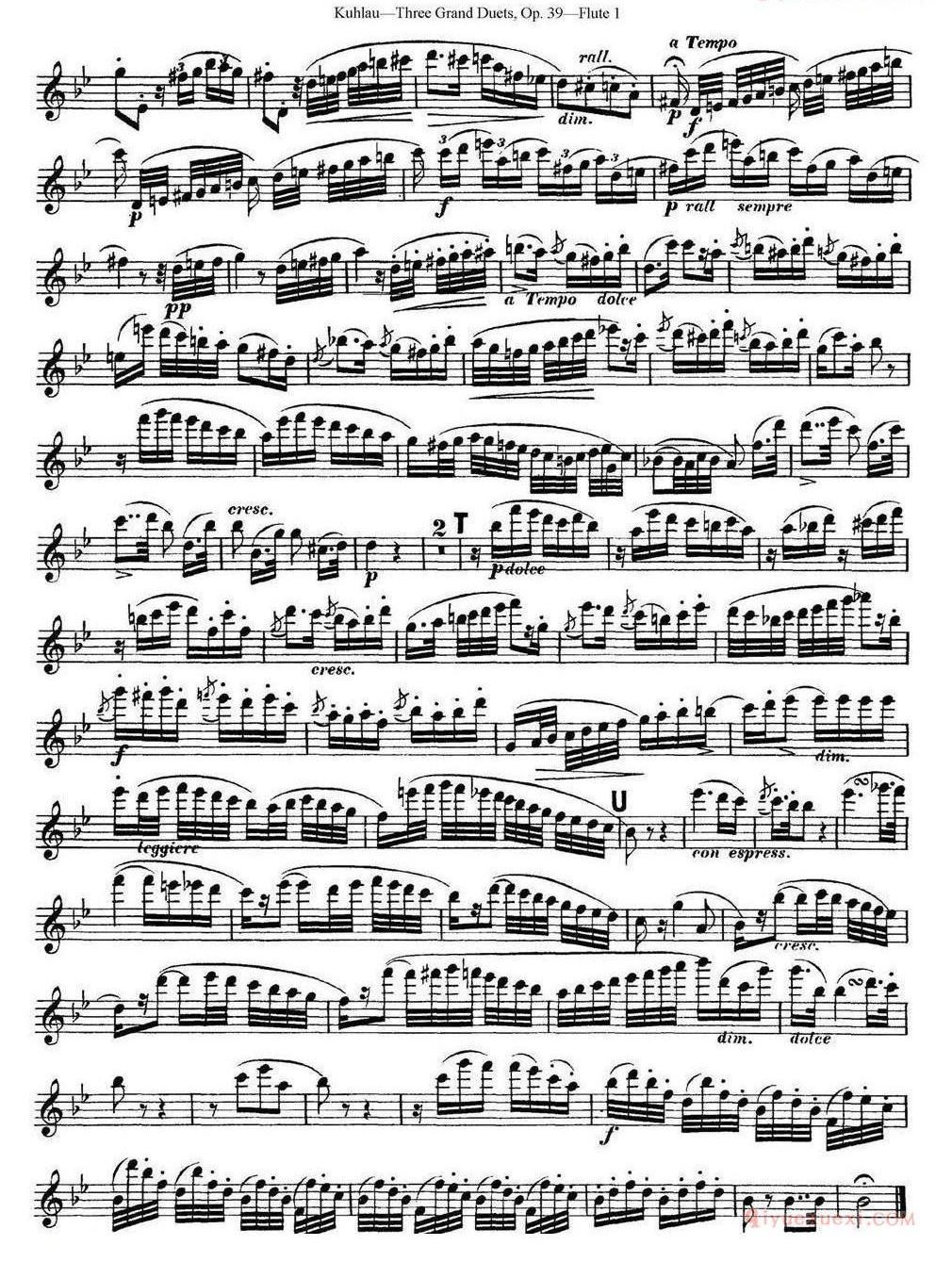 库劳长笛二重奏大练习曲Op.39——Flute 1(No.2)