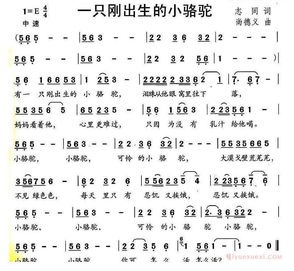 儿童歌曲简谱[一只刚出生的小骆驼]