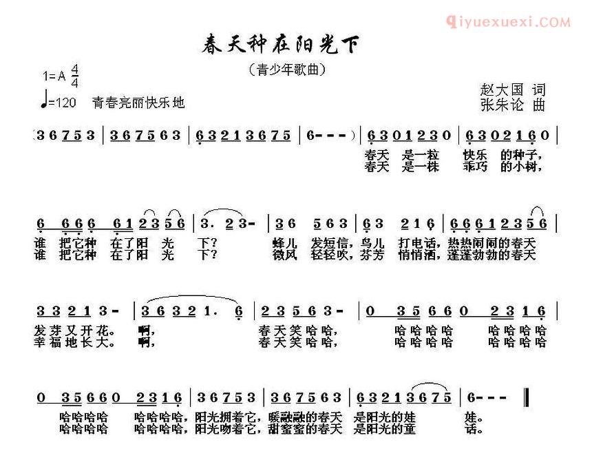 儿童歌曲简谱[春天种在阳光下]