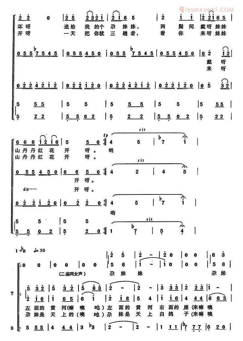 合唱乐谱[花儿随想]简谱