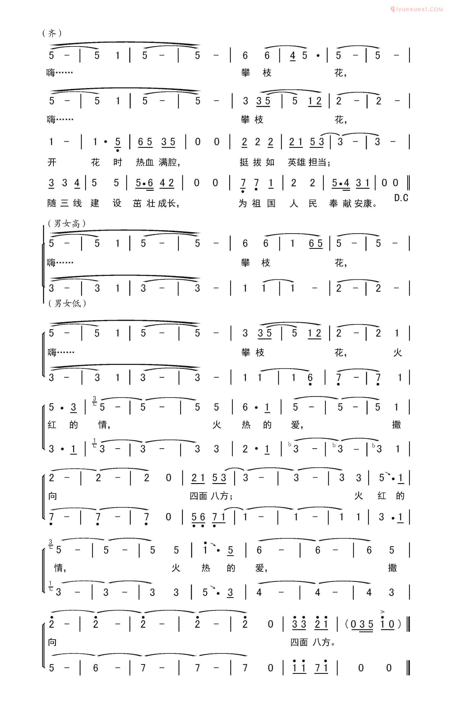 合唱歌曲[燃情攀枝花/合唱曲、广场舞曲]简谱