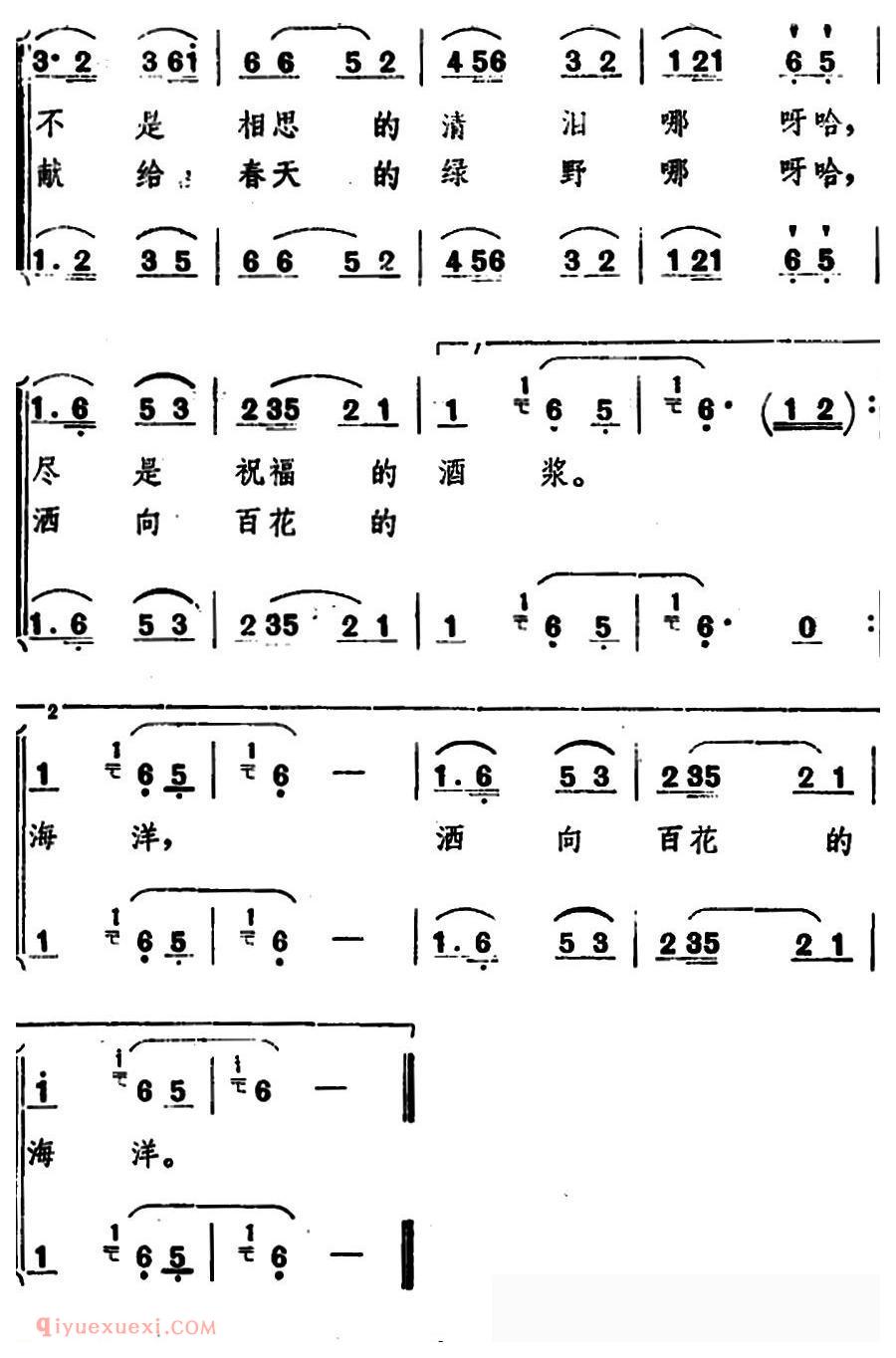 合唱歌曲《金盏花》简谱