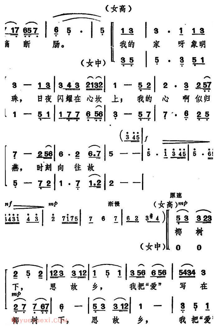 合唱歌曲《椰树下/女声二重唱》简谱