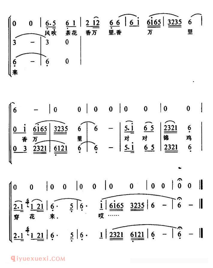 土家族实验剧[锦鸡岭上茶花开/卡洛与锦鸡/选段]简谱