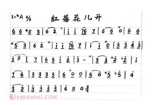 小号乐谱[红莓花儿开]简谱