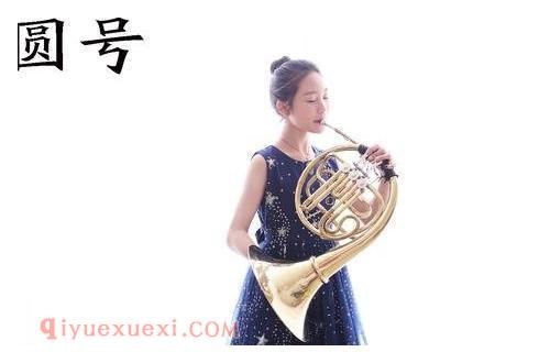 圆号有几种?圆号的种类繁多