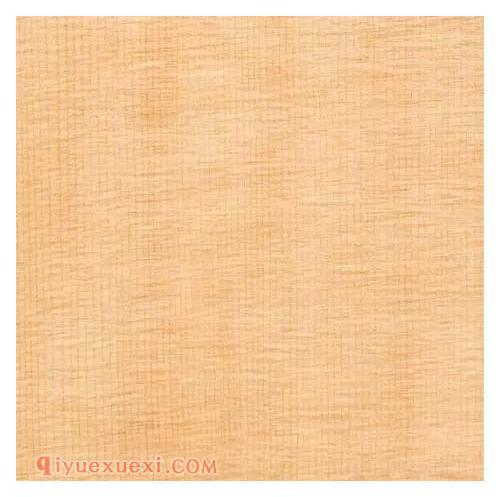 曹树堃先生对提琴材料的论述