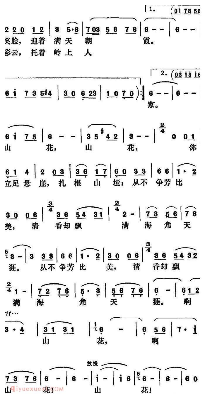 美声歌曲简谱《山花吟》