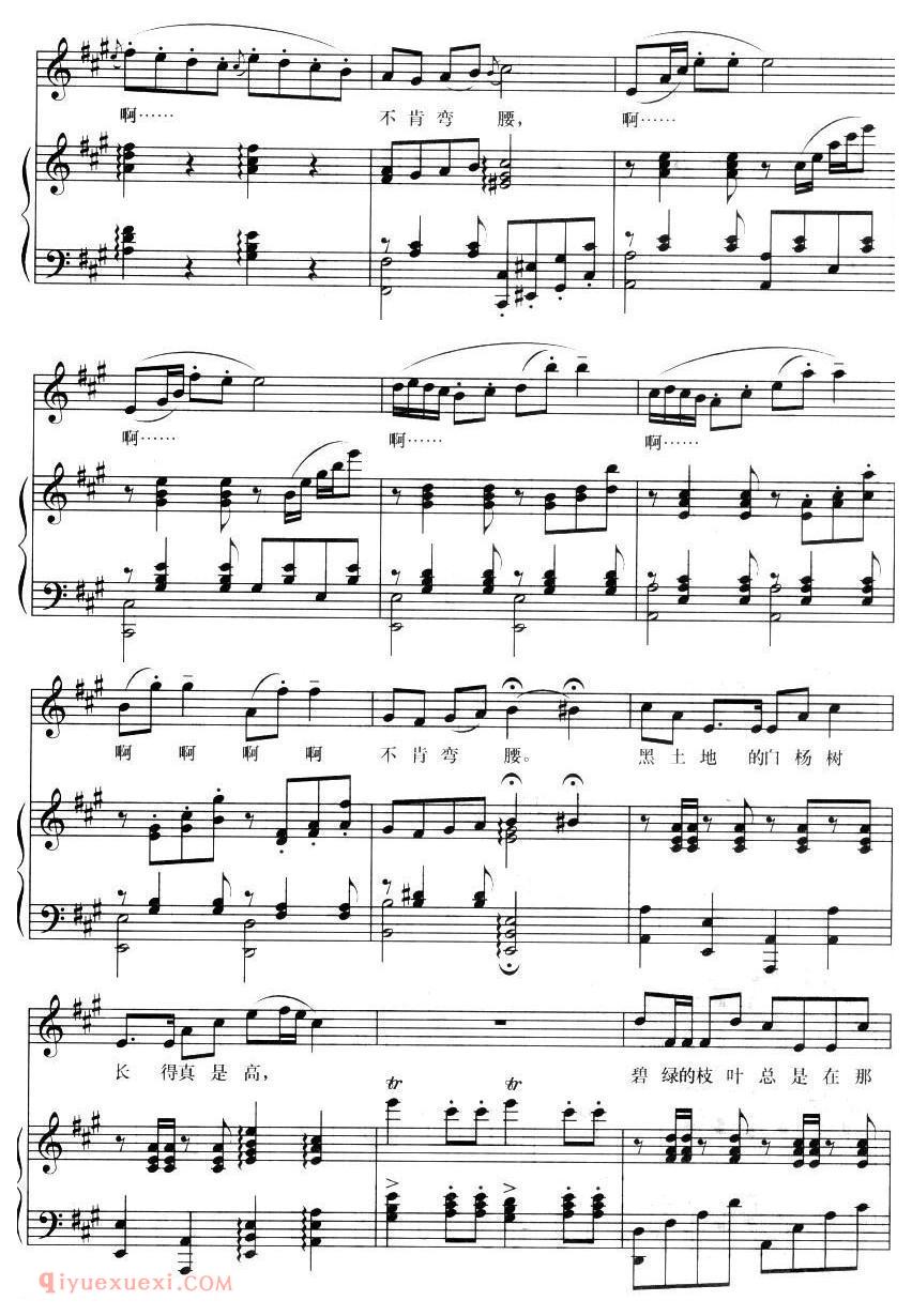 美声歌曲谱《黑土地的白杨树》