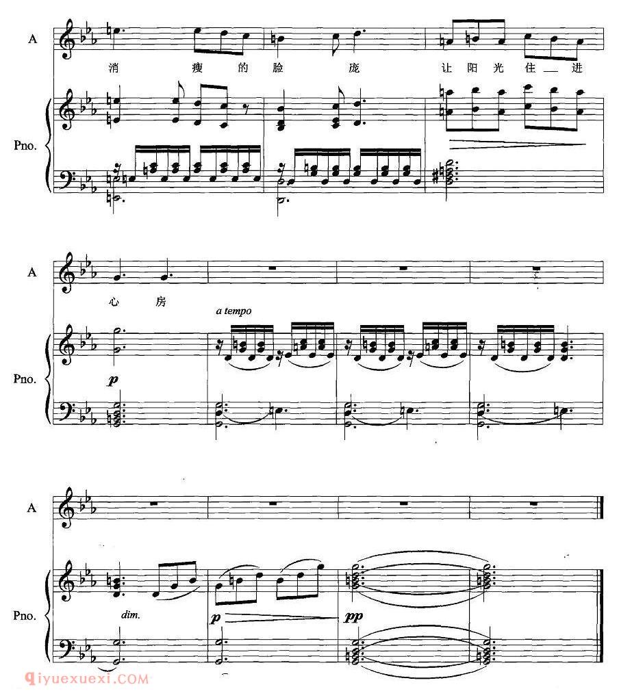美声歌曲谱《收集阳光》