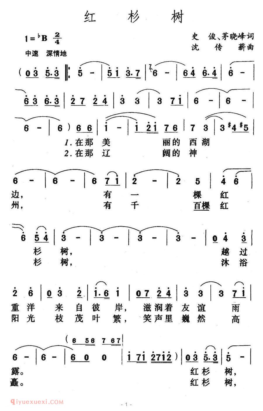 美声歌曲谱《红杉树》