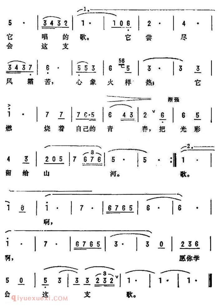 美声歌曲谱《愿你学会这支歌/电影/拼搏插曲》