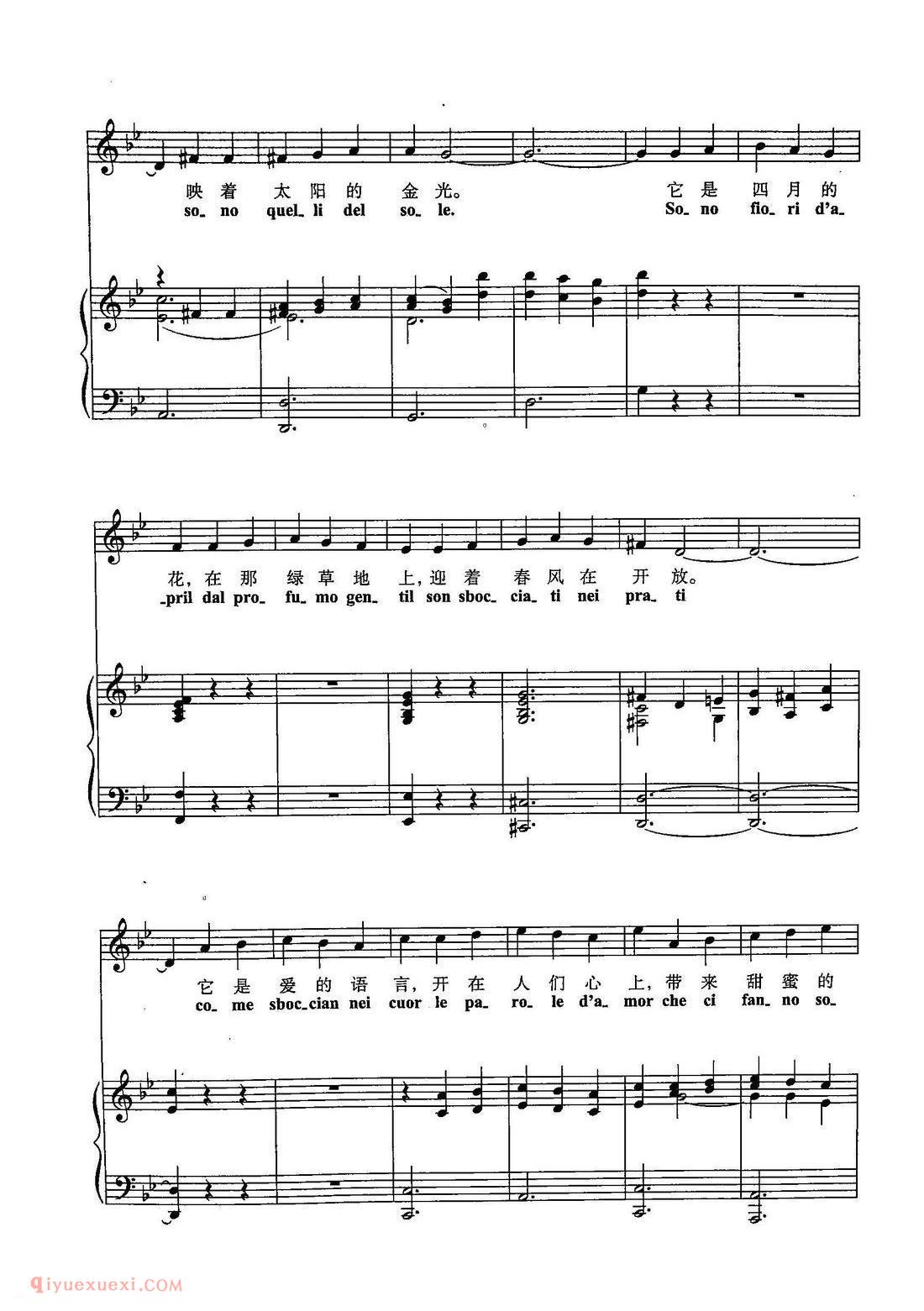 五线谱《请买一束鲜花》意大利