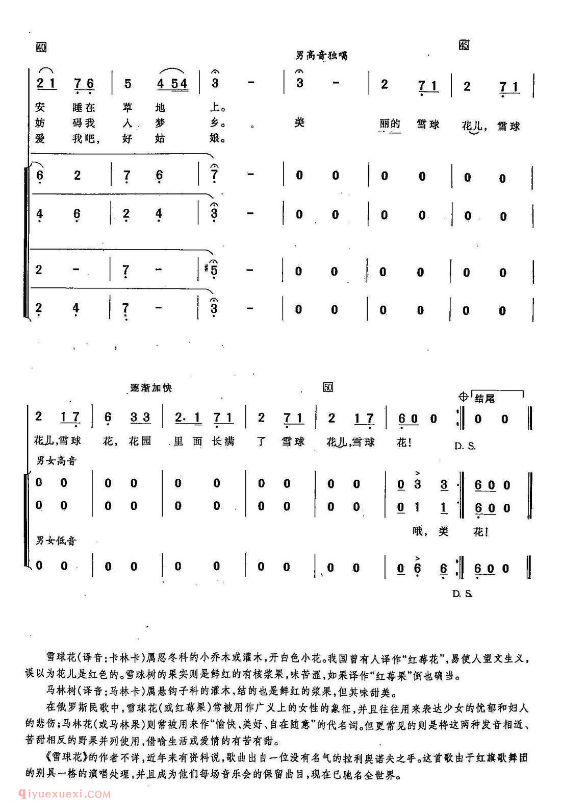 简谱《雪球花/合唱》俄罗斯