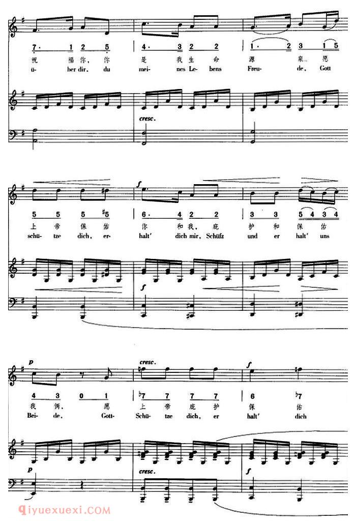 德国 | 我爱你 中外文对照 | 五线谱