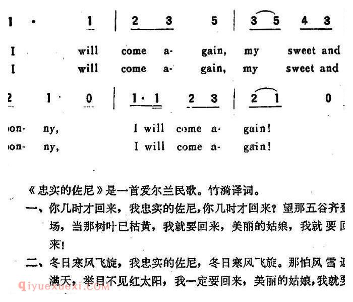 爱尔兰 | FAITHFU’JOHNIE 忠实的佐尼 | 简谱