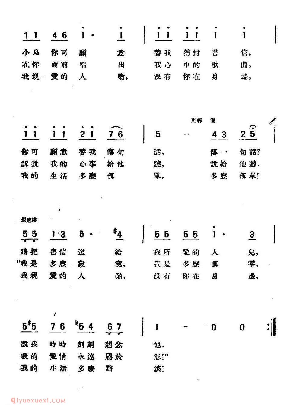 小鸟 | 波兰
