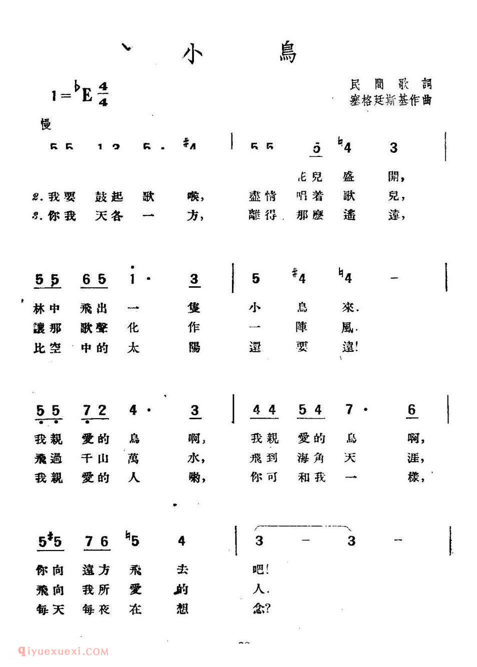 小鸟 | 波兰