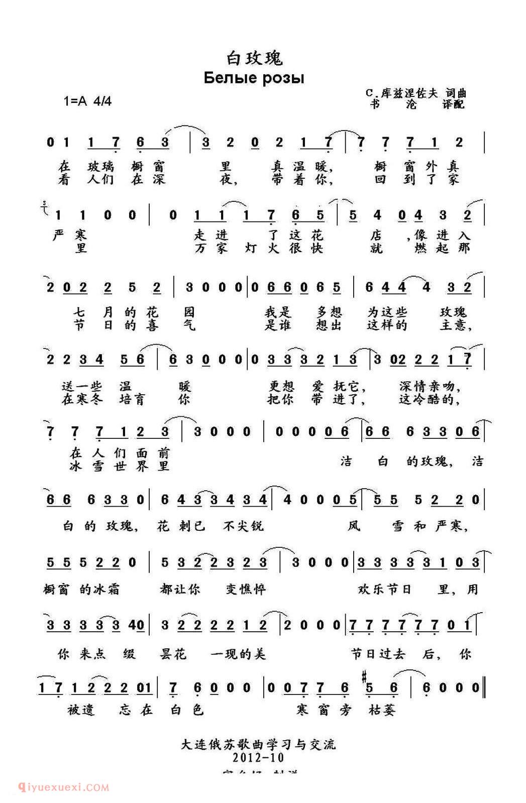 白玫瑰 | 俄罗斯