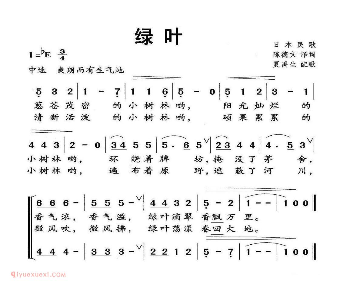绿叶 | 童声合唱 | 日本