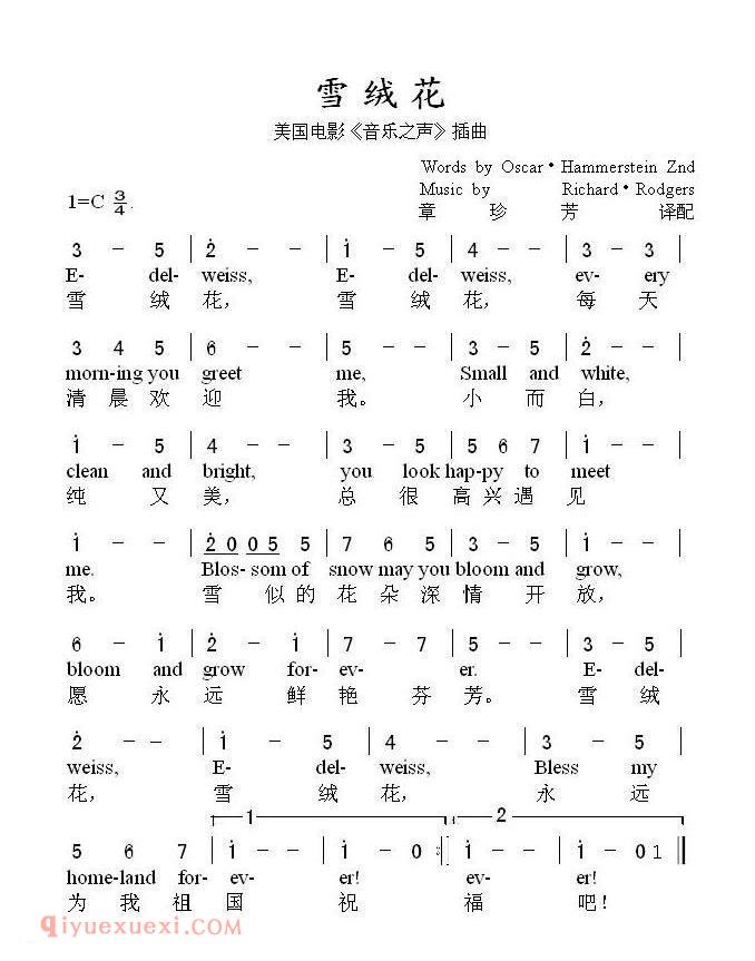 雪绒花/电影/音乐之声插曲 | 美国