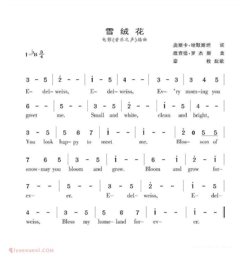 雪绒花/电影/音乐之声插曲 | 美国