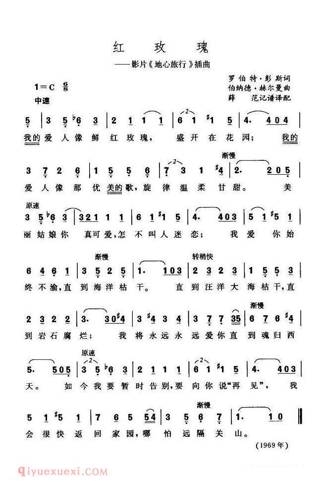 红玫瑰 ｜ 美国