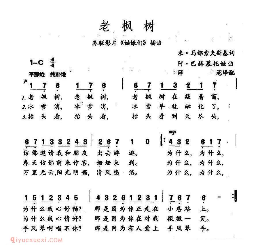老枫树 | 俄罗斯