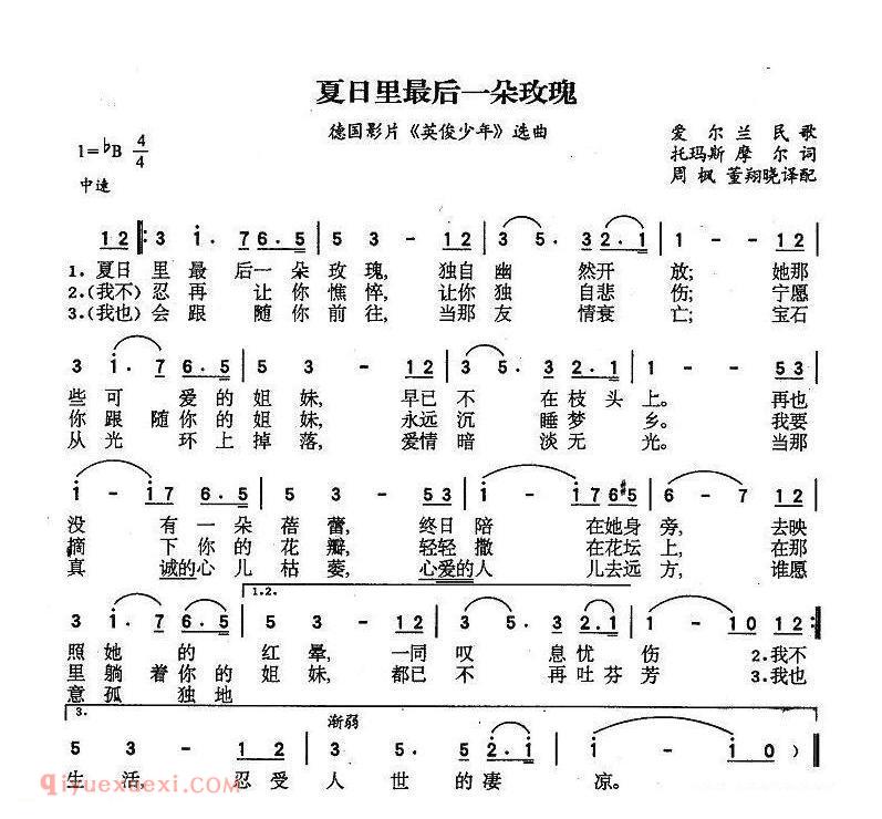 夏日里最后一朵玫瑰 | 爱尔兰