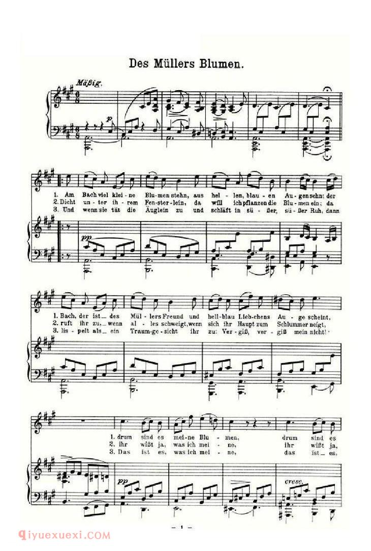 Des Mullers blumen | 奥地利