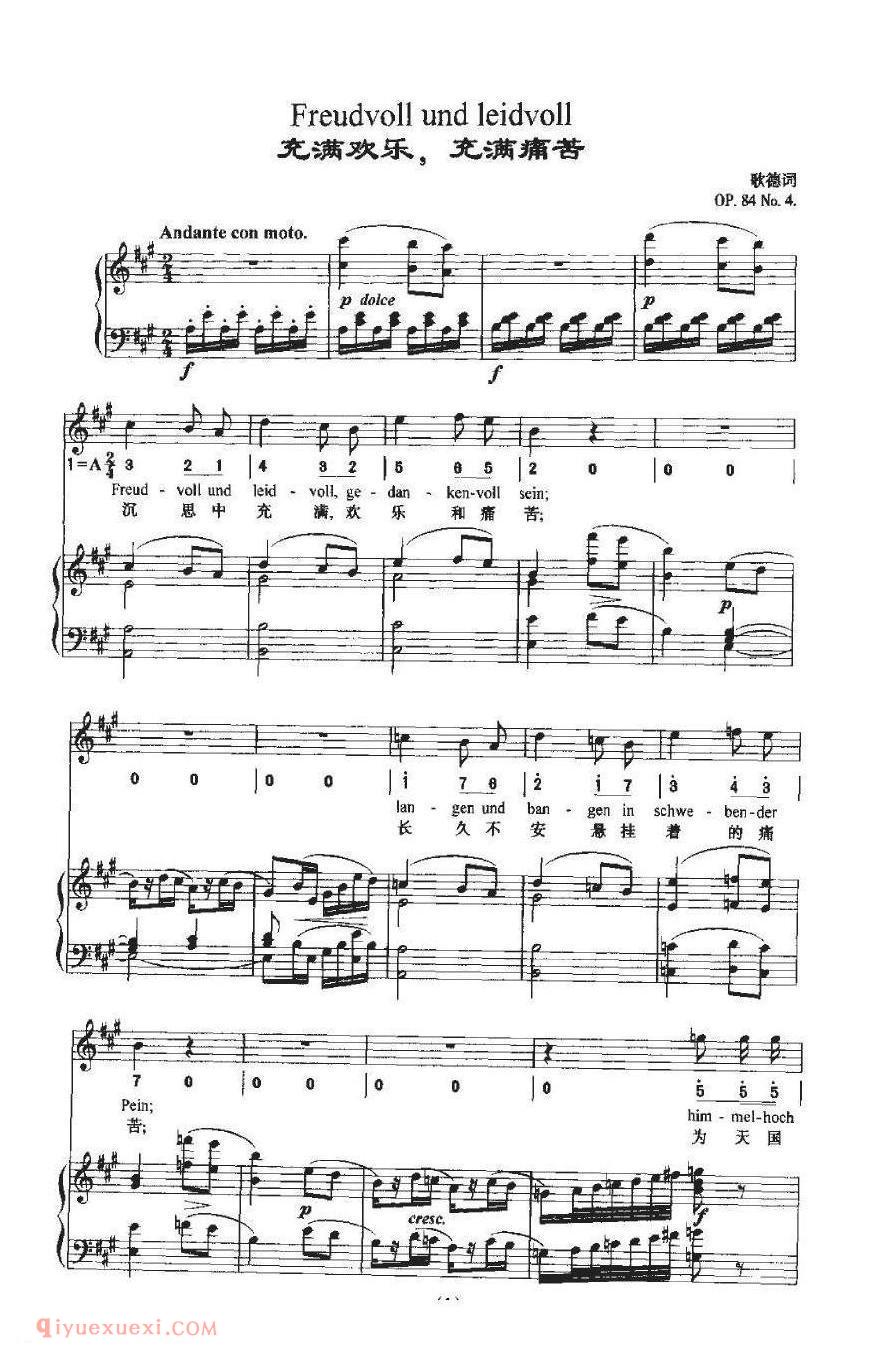 Freudvoll und leidvoll 充满欢乐,充满痛苦