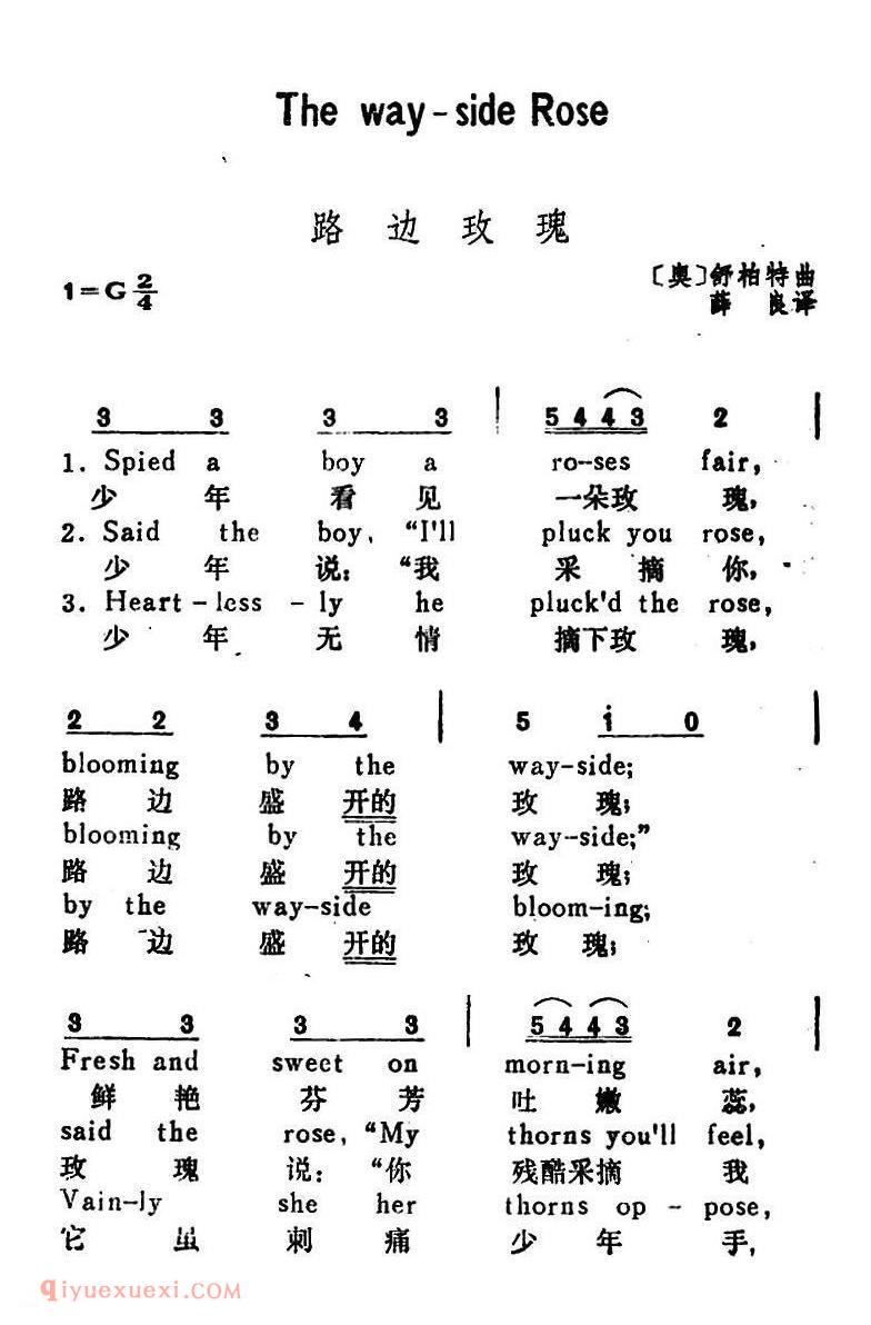 路边玫瑰 The Way-Side Rose | 奥地利