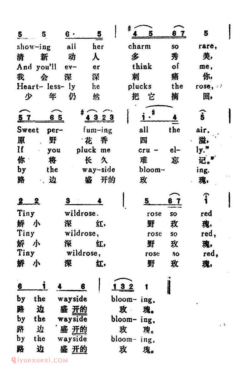 路边玫瑰 The Way-Side Rose | 奥地利