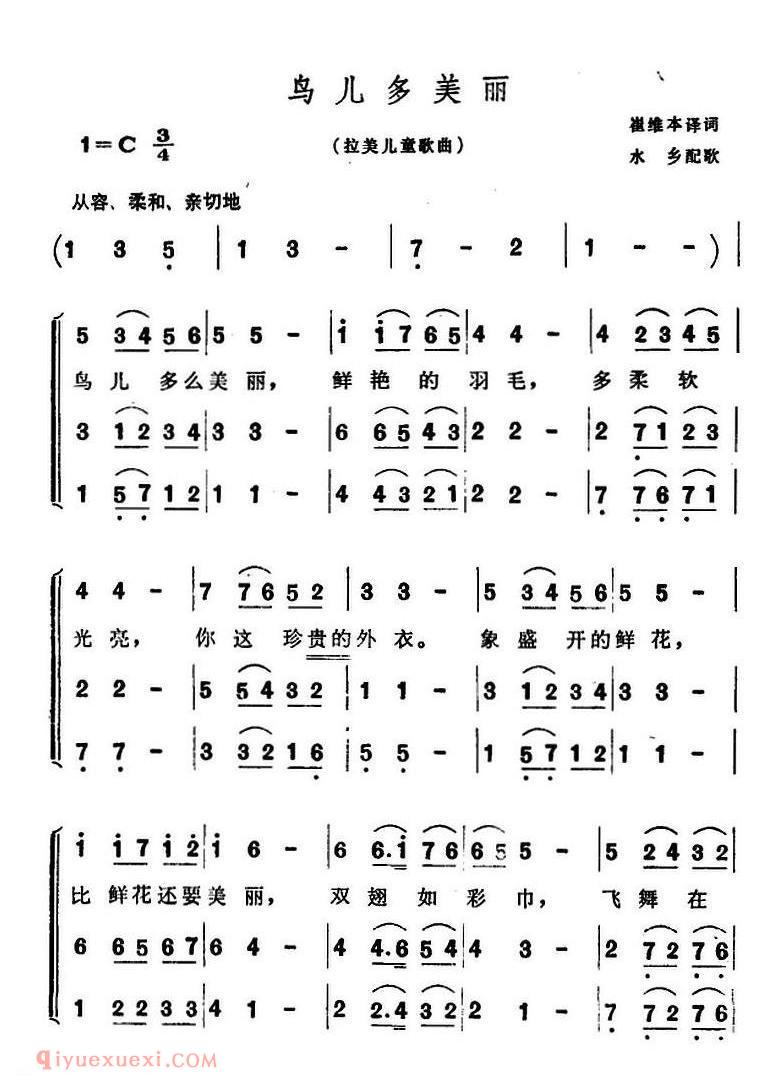 鸟儿多美丽 | 拉丁美洲