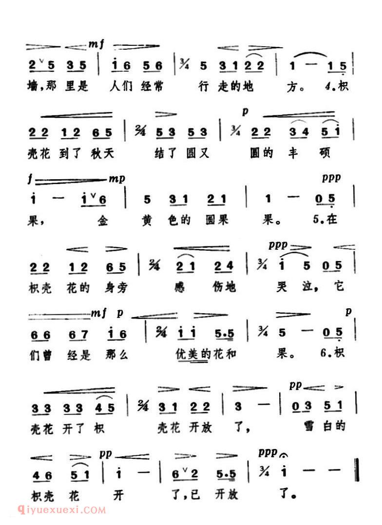 枳壳花 | 日本