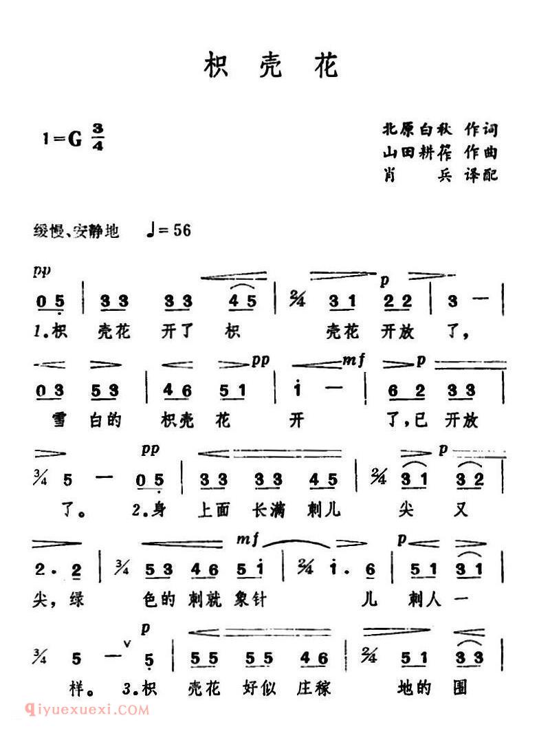 枳壳花 | 日本